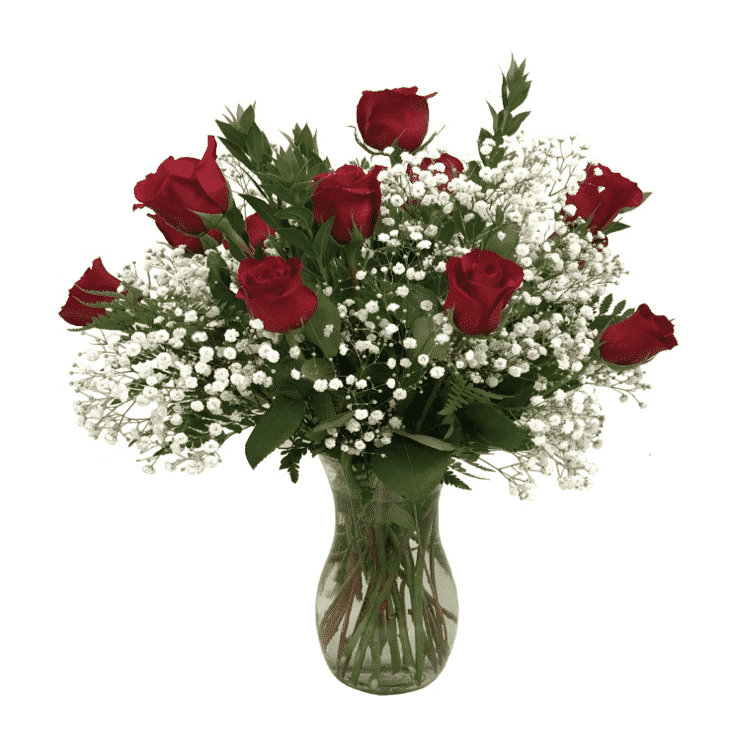 Elite Dozen Roses